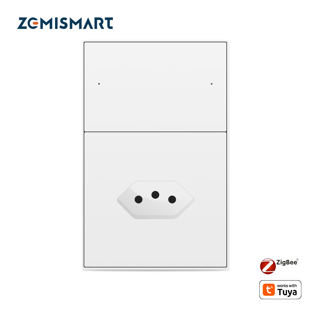 Smart Home Group - Zemismart Zigbee 브라질 소켓, 투야와 작동,