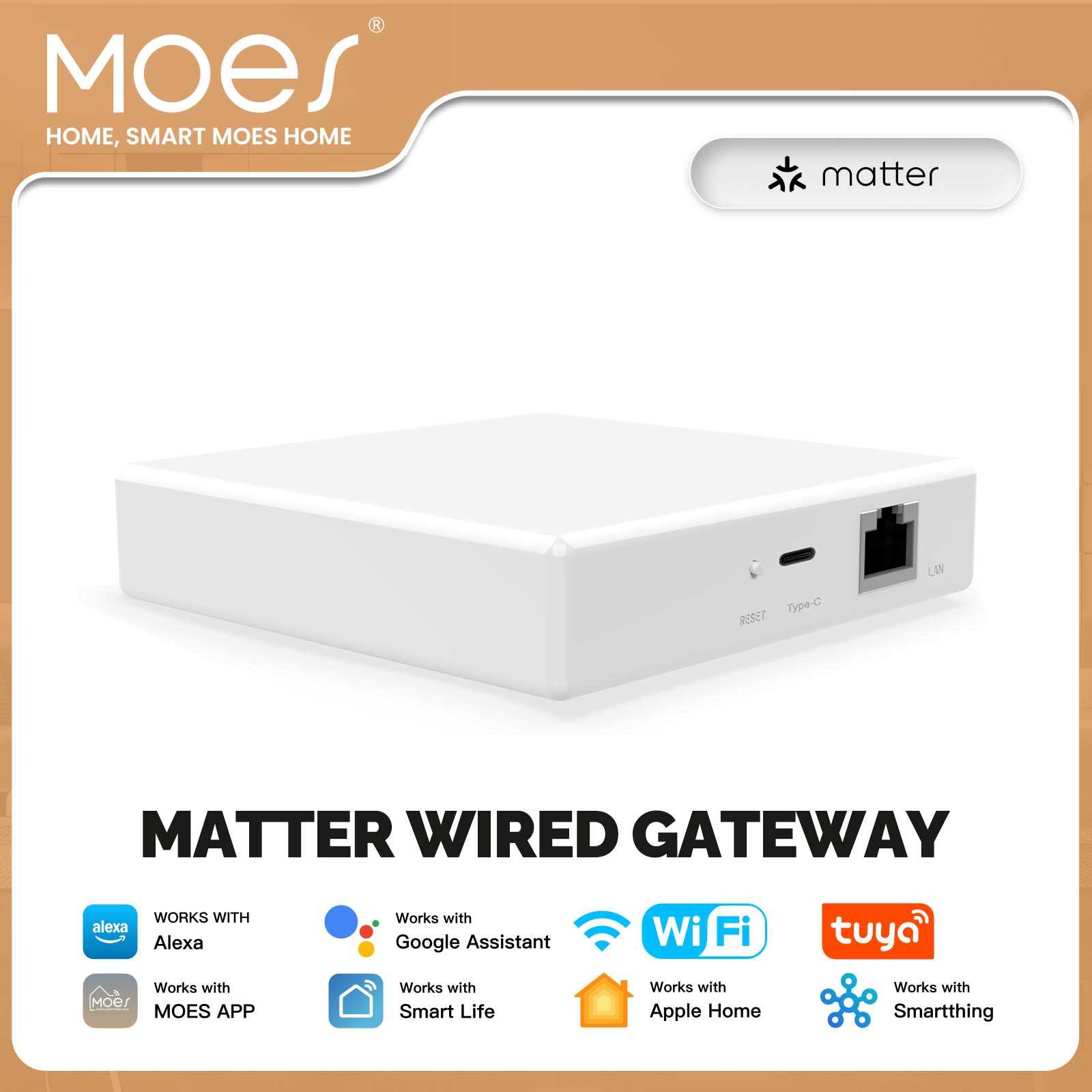 Smart Home Registration - MOES 투야 지그비 매터 스레드 게이트웨이