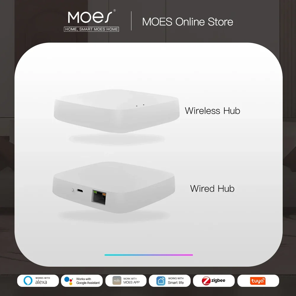 Smart Home Registration - Tuya ZigBee 3.0 스마트 게이트웨이 허브