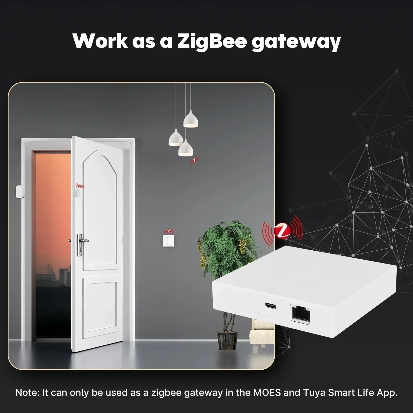 MOES Tuya Zigbee Matter 스레드 게이 - Smart Home Group 리뷰 및 가격