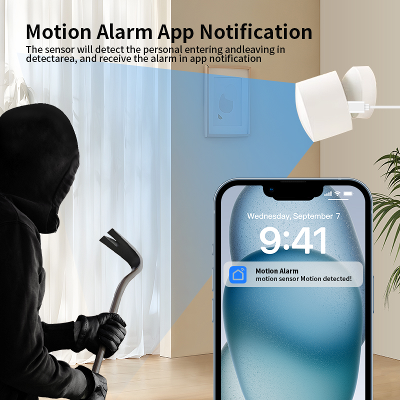 원격 모니터링 및 스마트 홈 자동화를 위해 Tuya S - Smart Home Monitoring 리뷰 및 가격