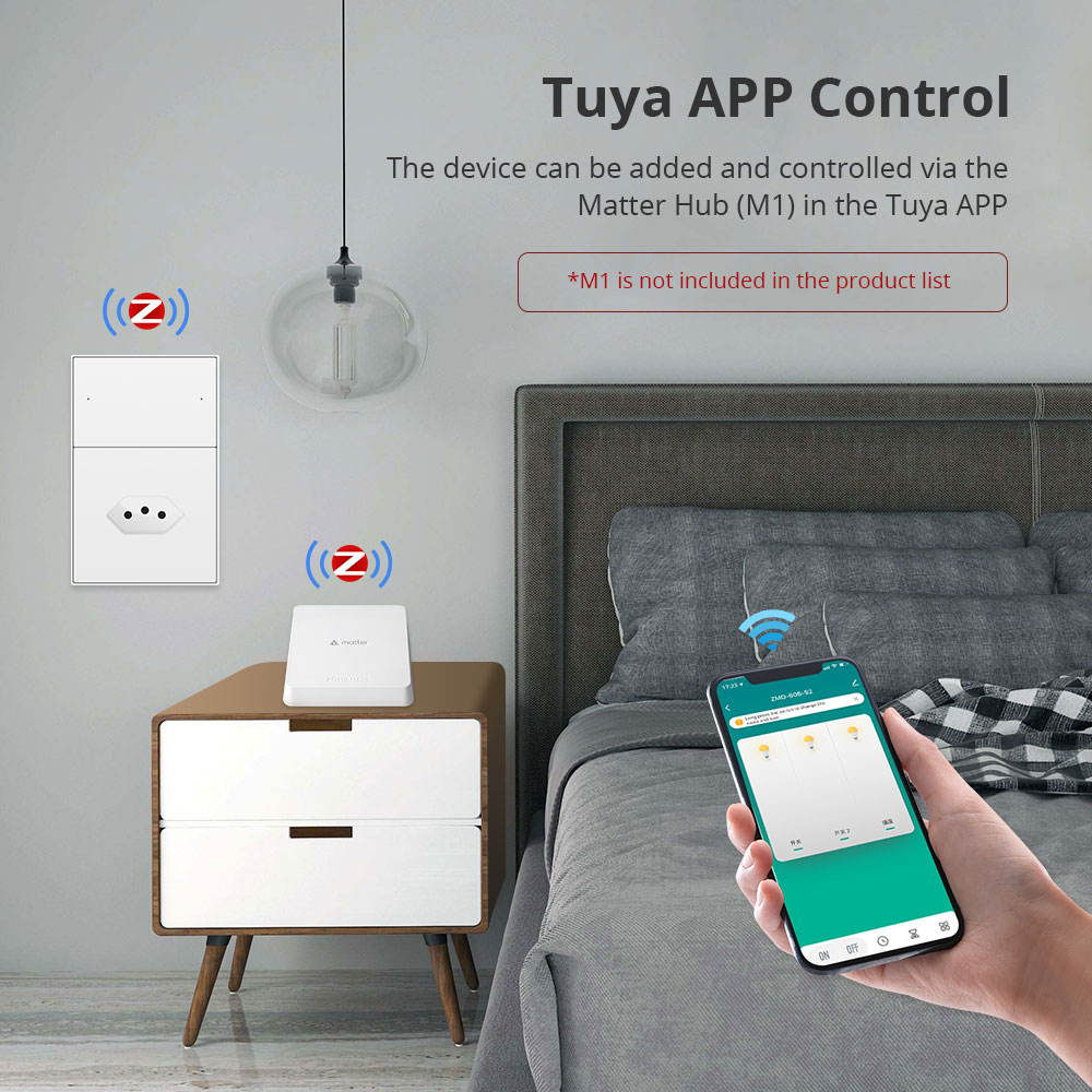 Zemismart Zigbee 브라질 소켓, 투야와 작 - Smart Home Group 리뷰 및 가격